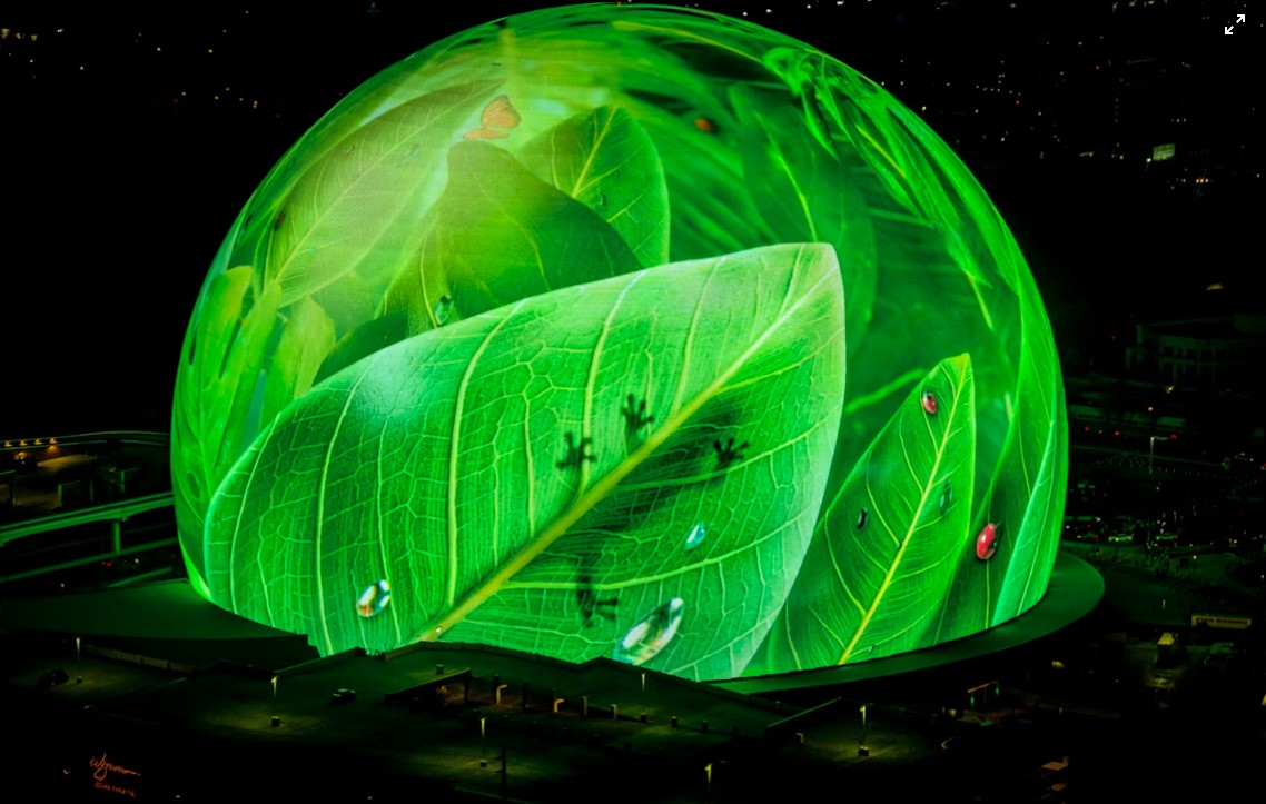Leaf-Shaped LED Displays for Environment