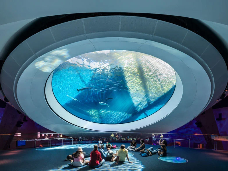 What Is an Immersive LED Dome Screen.jpg